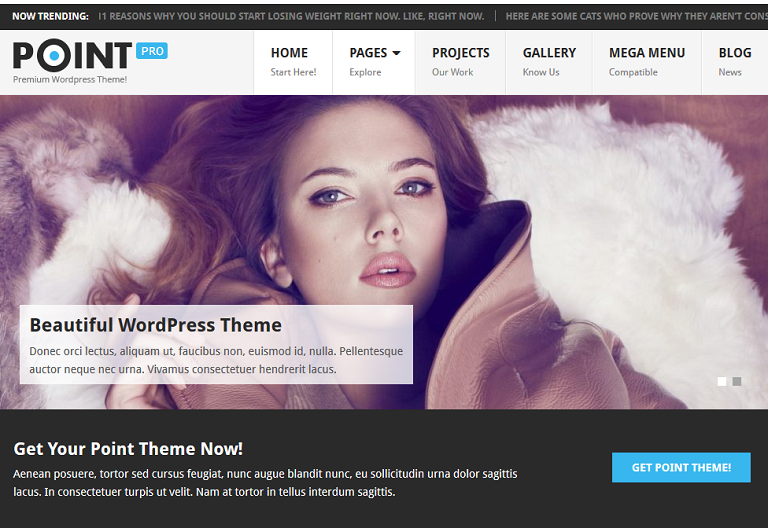 Szablon strony MTS Point Pro