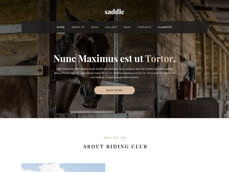 Szablon strony Saddle