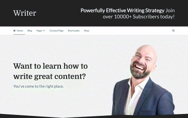 Szablon Writer — widok strony głównej