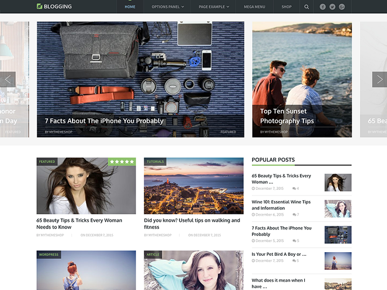 Szablon strony Blogging