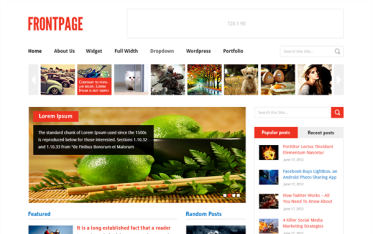 Szablon Frontpage — widok strony głównej