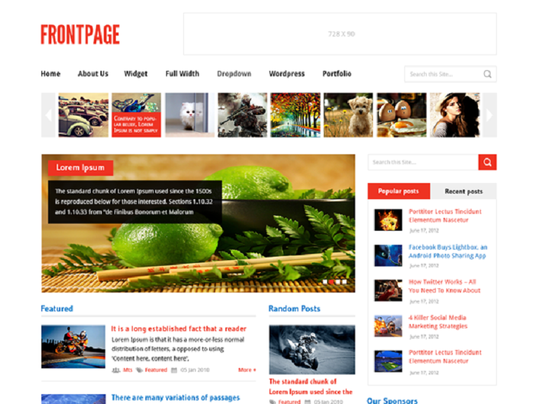 Szablon strony Frontpage