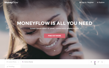 Szablon Moneyflow — widok strony głównej
