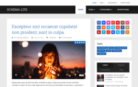 miniatura szablonu schema lite