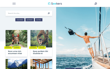 Szablon Seekers — widok strony głównej