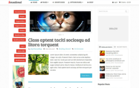 miniatura szablonu sensational