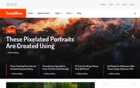 miniatura szablonu socialnow