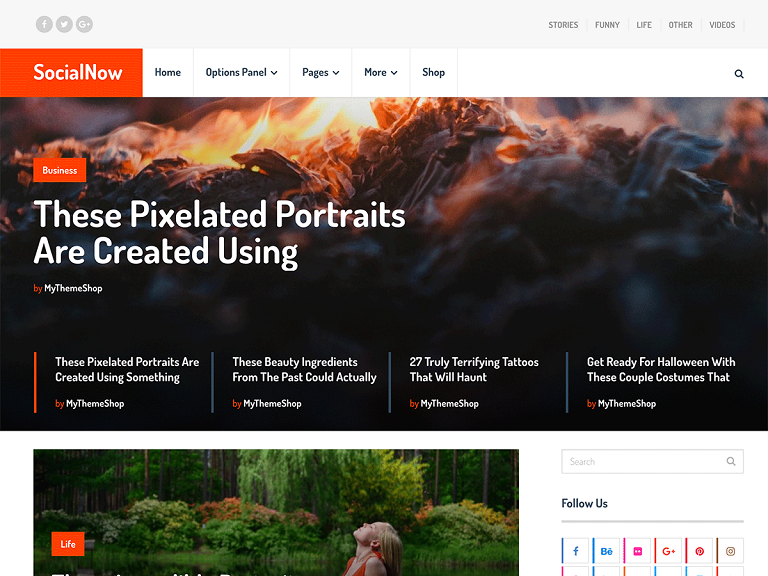 Szablon strony SocialNow