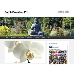 Szablon Catch Evolution Pro — widok strony głównej