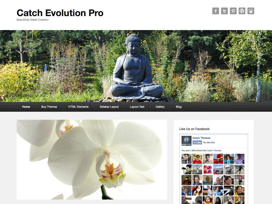 szablon strony catch evolution pro