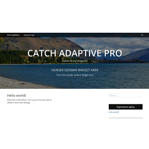 Szablon Catch Adaptive Pro — widok strony głównej
