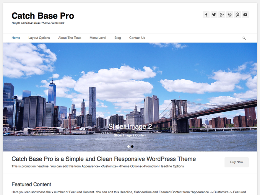 Szablon strony catch base pro