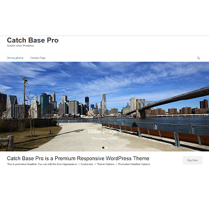 Szablon Catch Base Pro — widok strony głównej