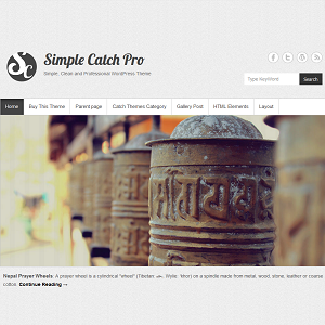 Szablon Simple Catch Pro — widok strony głównej