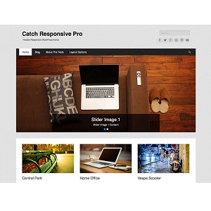 Szablon Catch Responsive Pro — widok strony głównej