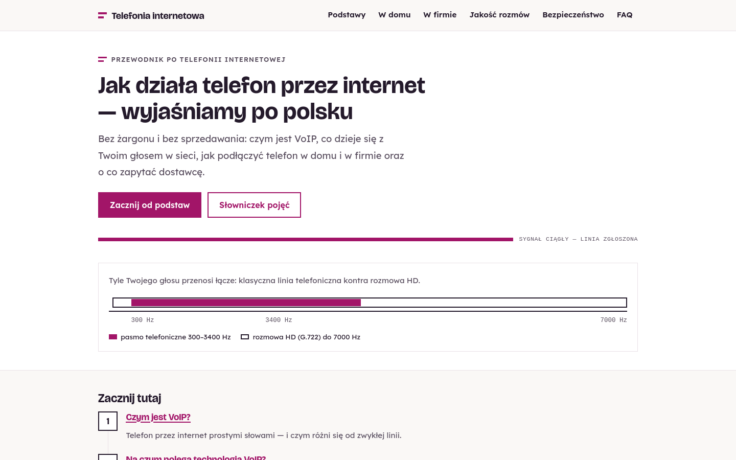 Szablon Dwuton — widok strony głównej