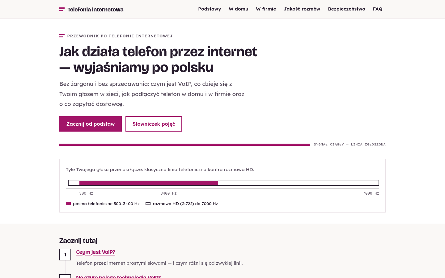 Szablon Dwuton — widok strony głównej